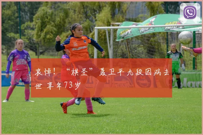 哀悼！“棋圣”聂卫平九段因病去世 享年73岁