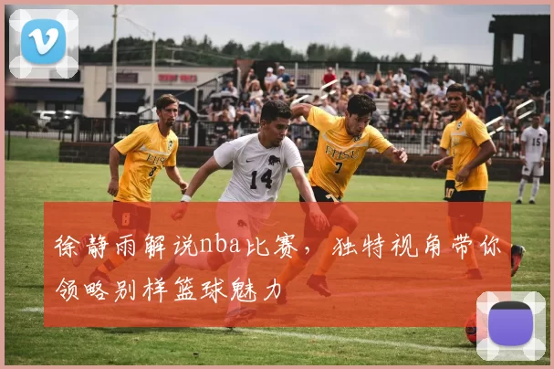 徐静雨解说nba比赛，独特视角带你领略别样篮球魅力