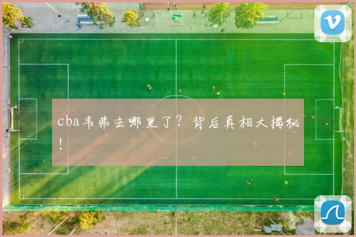 cba韦弗去哪里了？背后真相大揭秘！