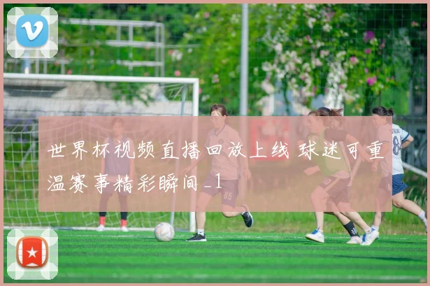 世界杯视频直播回放上线 球迷可重温赛事精彩瞬间_1