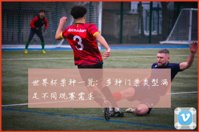 世界杯票种一览：多种门票类型满足不同观赛需求