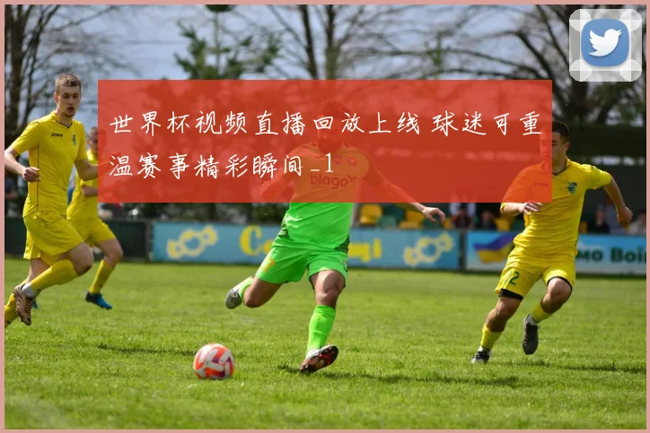 世界杯视频直播回放上线 球迷可重温赛事精彩瞬间_1