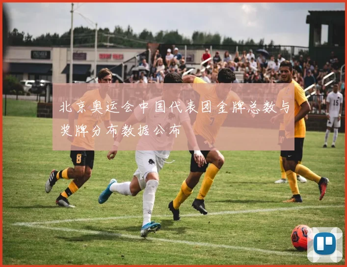 北京奥运会中国代表团金牌总数与奖牌分布数据公布