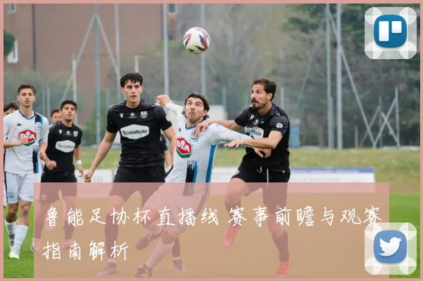 鲁能足协杯直播线 赛事前瞻与观赛指南解析