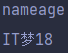 1.3 字面量