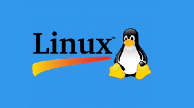 面向网络管理员的 50 个 Linux 命令-IT熊技术站