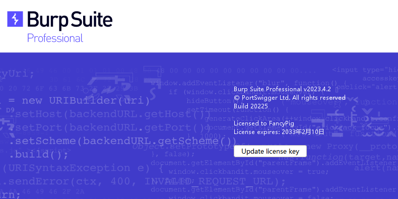 最新BurpSuite2023.4.2专业破解版(开箱即用版)