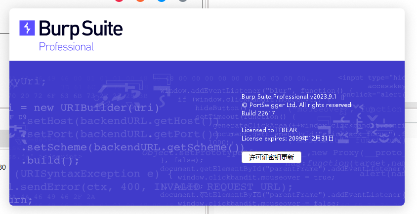 最新BurpSuite2023.9.1专业破解版(开箱即用版)-IT熊技术站
