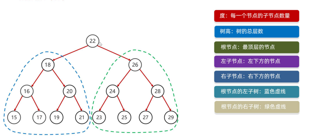 图片[4]-4.1 泛型-数据结构(树)-TreeSet集合-IT熊技术站